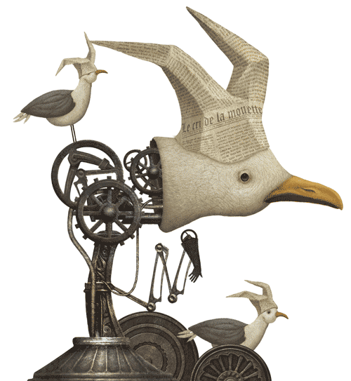 Illustration — mouettes, Franck Dion